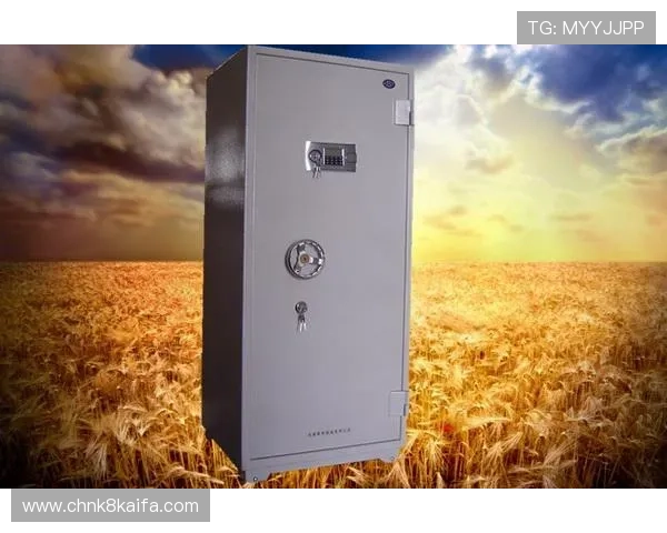 凯发K8旗舰厅登录线路多渠道多线路保障，提供全天候稳定登录服务的专业解决方案