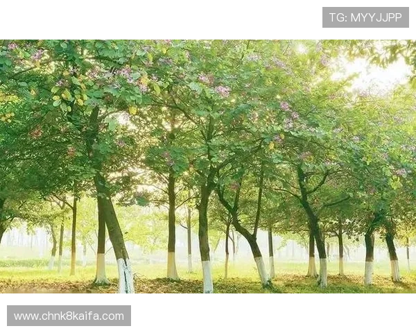 凯发游戏入口官网积极响应行业政策，推动绿色健康游戏环境建设