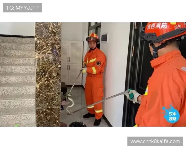 凯发正规平台的安全保障措施与用户口碑分析,助你安心游戏 凯发正规平台的安全保障措施与用户口碑分析,助你安心游戏