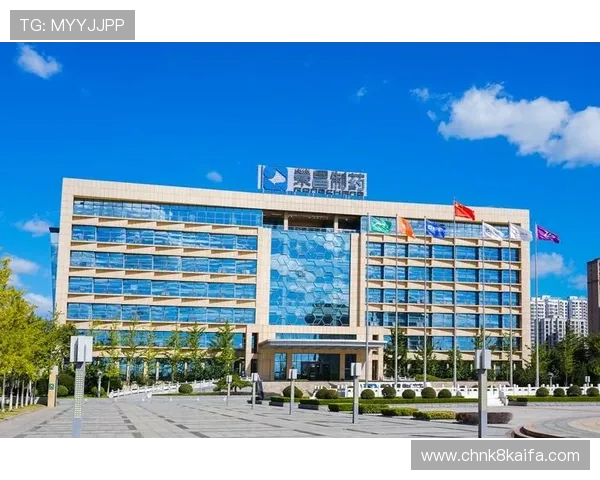 凯发K8.com官方旗舰店安全保障措施详解与用户权益保障指南 凯发K8.com官方旗舰店安全保障措施详解与用户权益保障指南