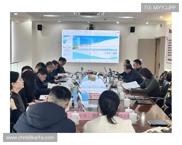 凯发集团网站发布年度运营报告展现公司稳健发展与未来规划