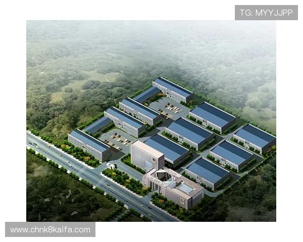 探索AG凯发K8国际集团在全球市场的布局策略与合作伙伴关系，助力品牌持续稳步发展